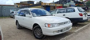 Toyota Corolla 2004 White