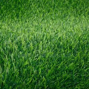Aesthetic Grass Carpet for Office & Events