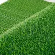 Grass Carpet for Cafes, Restaurants & Rooftops - 2