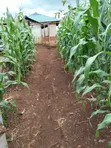 Kiambu Komothai Eka 2 za Kipekee - Mbele ya Mto, Upatikanaji wa Lami - 3