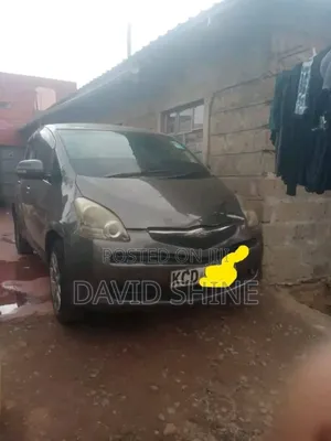 Toyota Ractis 2008 Gray