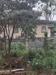 Eneo la Runda Prime 1 Eka katika Korti ya Lango kwa Uuzaji - 5
