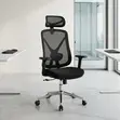 Luma Ergonomic Office Chair (Red/Blue/Black) - 1