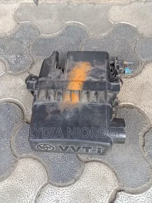Toyota Belta Air Cleaner
