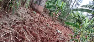 1/2 Acre Farmland with House in Muthiga, Gatundu