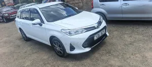 Toyota Corolla Fielder 2019 Nyeupe