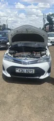 Toyota Corolla Fielder 2019 Nyeupe - 4