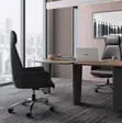 Kiti cha Ofisi cha Ngozi cha Mgongo Mrefu chenye Usaidizi wa Ergonomic - 5