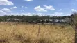 Prime 1 Acre Land in Varsityville Estate, Ruiru - 2