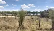 Prime 1 Acre Land in Varsityville Estate, Ruiru - 3