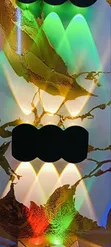 Outdoor Decorative Wall Light - Waterproof LED - 3