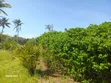 Ardhi ya Beach Tiwi Pwani ya Kusini - Eka 22 - 3