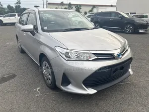 Toyota Axio 2019 Silver