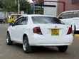 Toyota Axio 2007 - 1