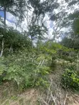 93 Acres Farmland for Sale in Marafa - 2