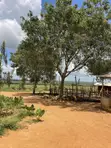 50 Acres Farmland for Sale in Kilulu, Marafa - 2