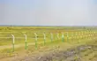 Land for Sale - Miwani, Kisumu - 2