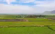 Land for Sale - Miwani, Kisumu - 3