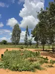 10 Acres Farmland for Sale in Majengo Ya Wakala, Marafa - 1