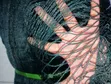 Anti-Bird Net / Predator Net - 4M x 50M Roll - 1