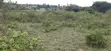 Eneo la Makazi la Eka 6 Linauzwa Kiserian - 4