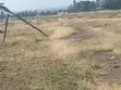 Eneo la Eka 20 kwa Ajili ya Kuuzwa Ongata Rongai - 4