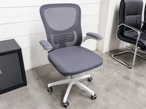 Ergonomic Mesh Office Chair - Grey with White Base