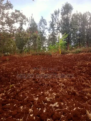 Vipande vya 40x80 Vinauzwa Kagaa, Kenol