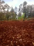 40x80 Plots for Sale at Kagaa, Kenol - 1