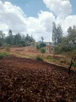 40x80 Plots for Sale at Kagaa, Kenol - 4