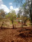 40x80 Plots for Sale at Kagaa, Kenol - 5