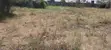 Two Plots for Sale in Ruai - 1