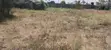 Two Plots for Sale in Ruai - 2