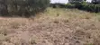Two Plots for Sale in Ruai - 3