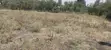 Two Plots for Sale in Ruai - 5