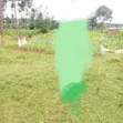 Ardhi Inauzwa Migori - Matumizi Mchanganyiko - 2