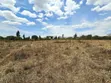 1 Acre Plot for Sale in Mastore, Juja Farm - 1