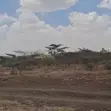 100 Acres Land for Sale in Kitengela Acacia - 1