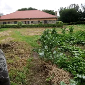 5 Bedroom Bungalow for Sale in Naivasha East
