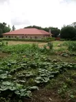 5 Bedroom Bungalow for Sale in Naivasha East - 3