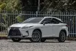 Lexus RX 300 4WD 2020 Pearl - 5