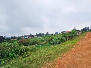 Commercial Plot for Sale in Limuru