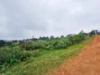 Kiwanja cha Biashara kwa Uuzaji Limuru - 1