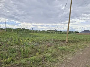 50x100 Plots for Sale in Kiamunyi, Nakuru