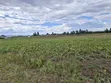 50x100 Plots for Sale in Kiamunyi, Nakuru - 5