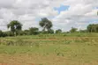 Affordable Plots for Sale in Matuu Kivandini - 1