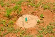 Affordable Plots for Sale in Matuu Kivandini - 4