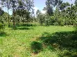 Kitalu cha 50x100 kinauzwa Webuye - 1