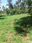 Kitalu cha 50x100 kinauzwa Webuye - 2