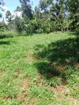 Kitalu cha 50x100 kinauzwa Webuye - 3